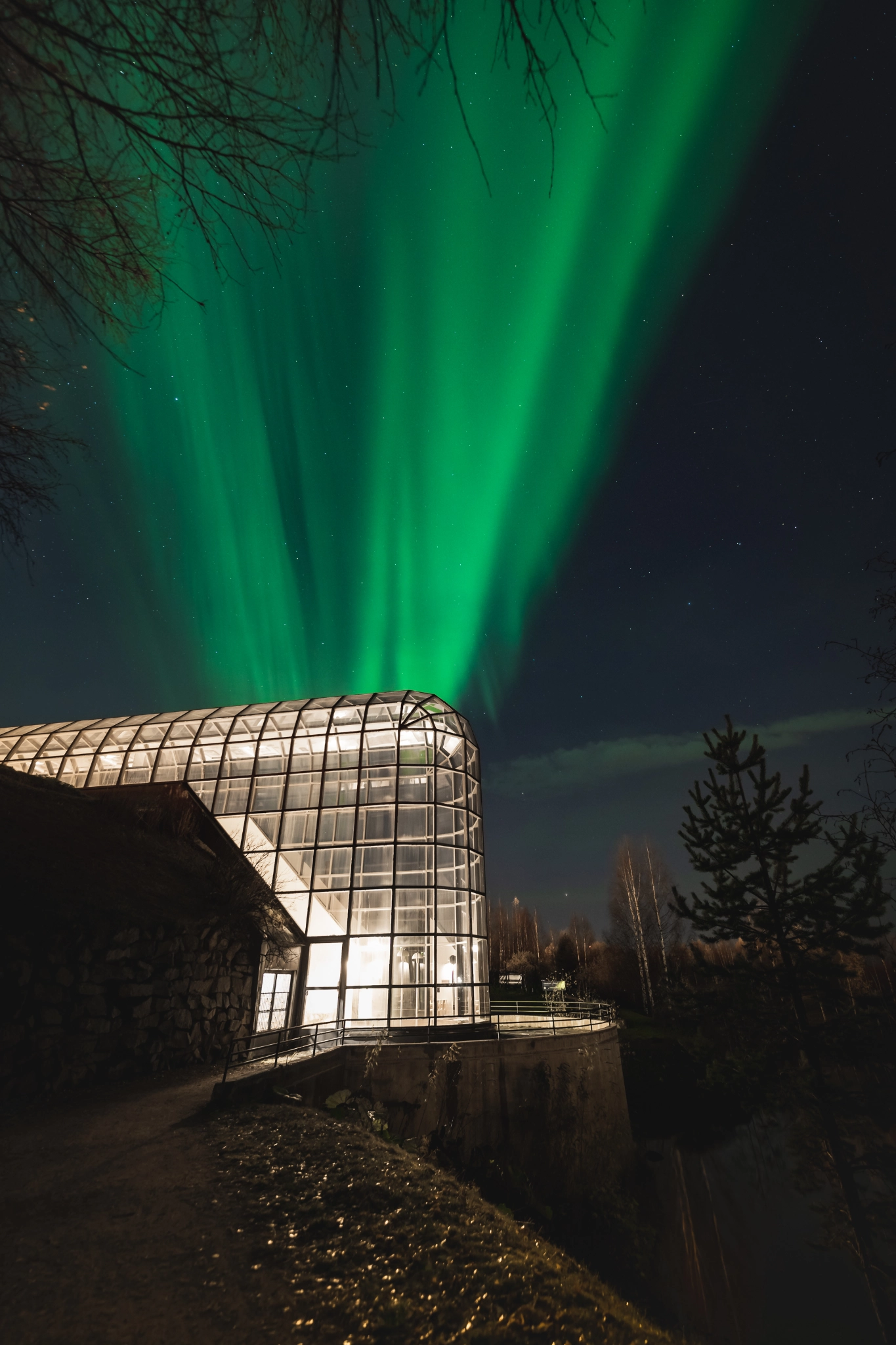 Image for action card