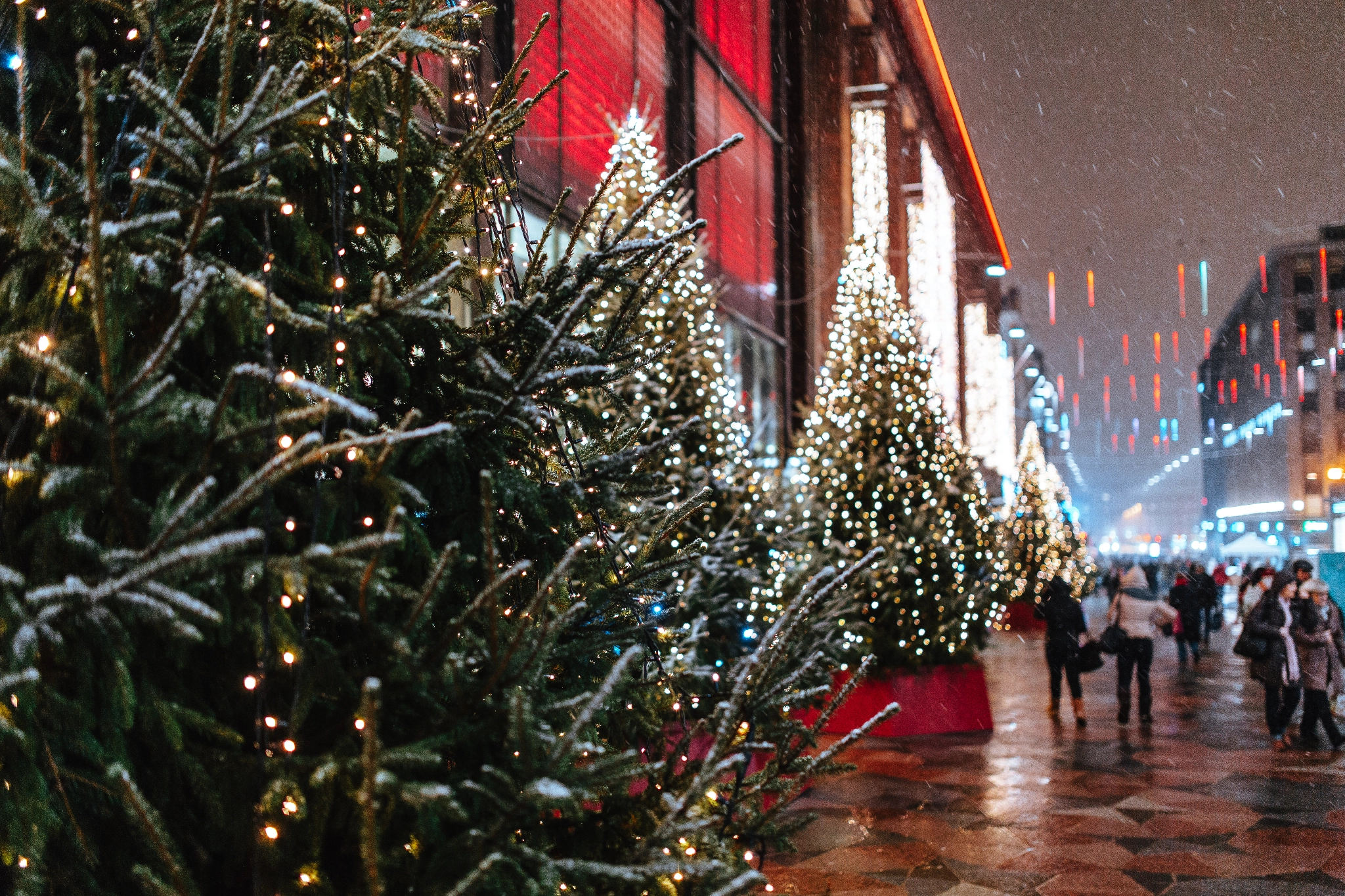 Christmas trees in front of Stockmann department store