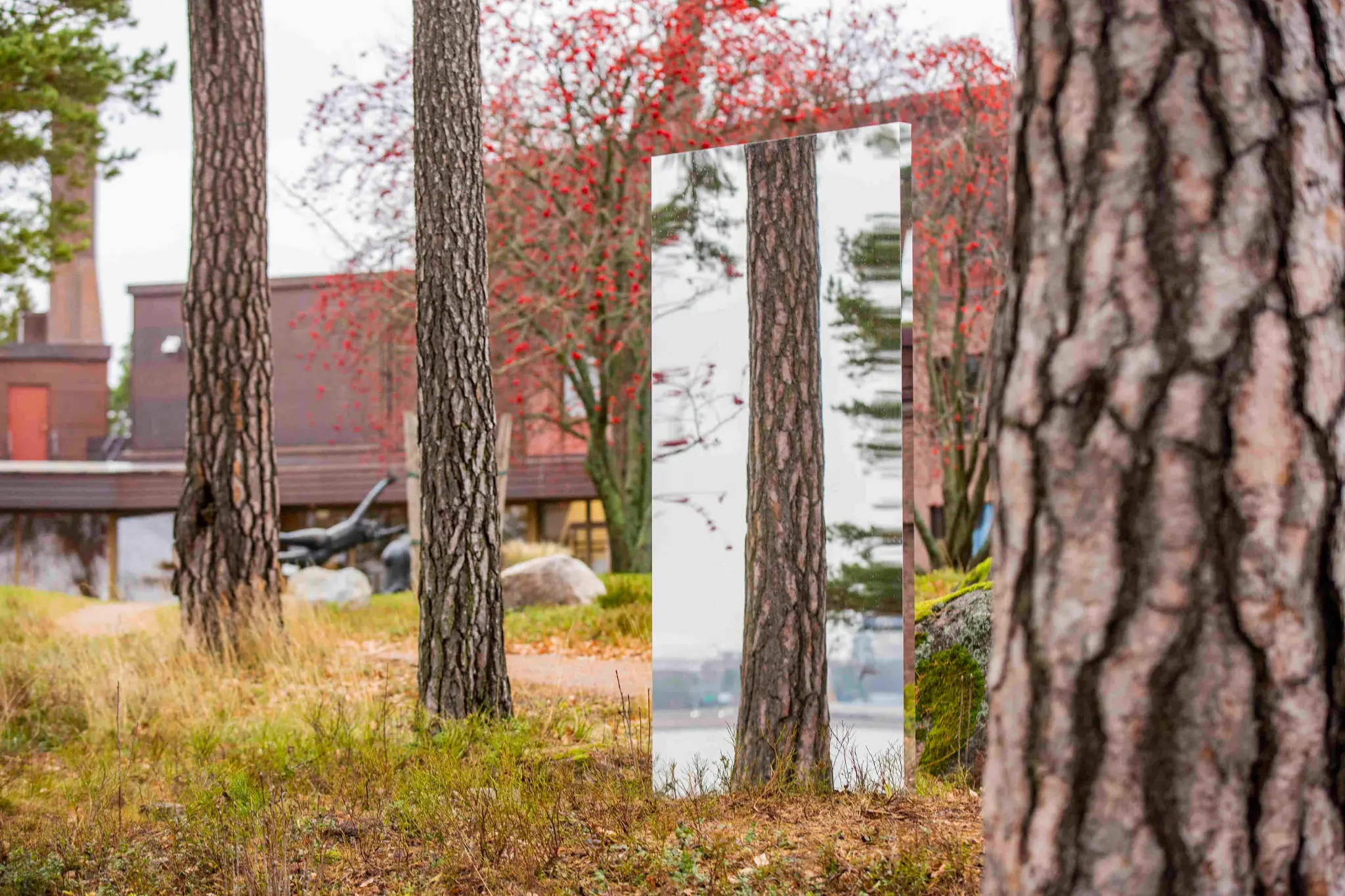 Header image