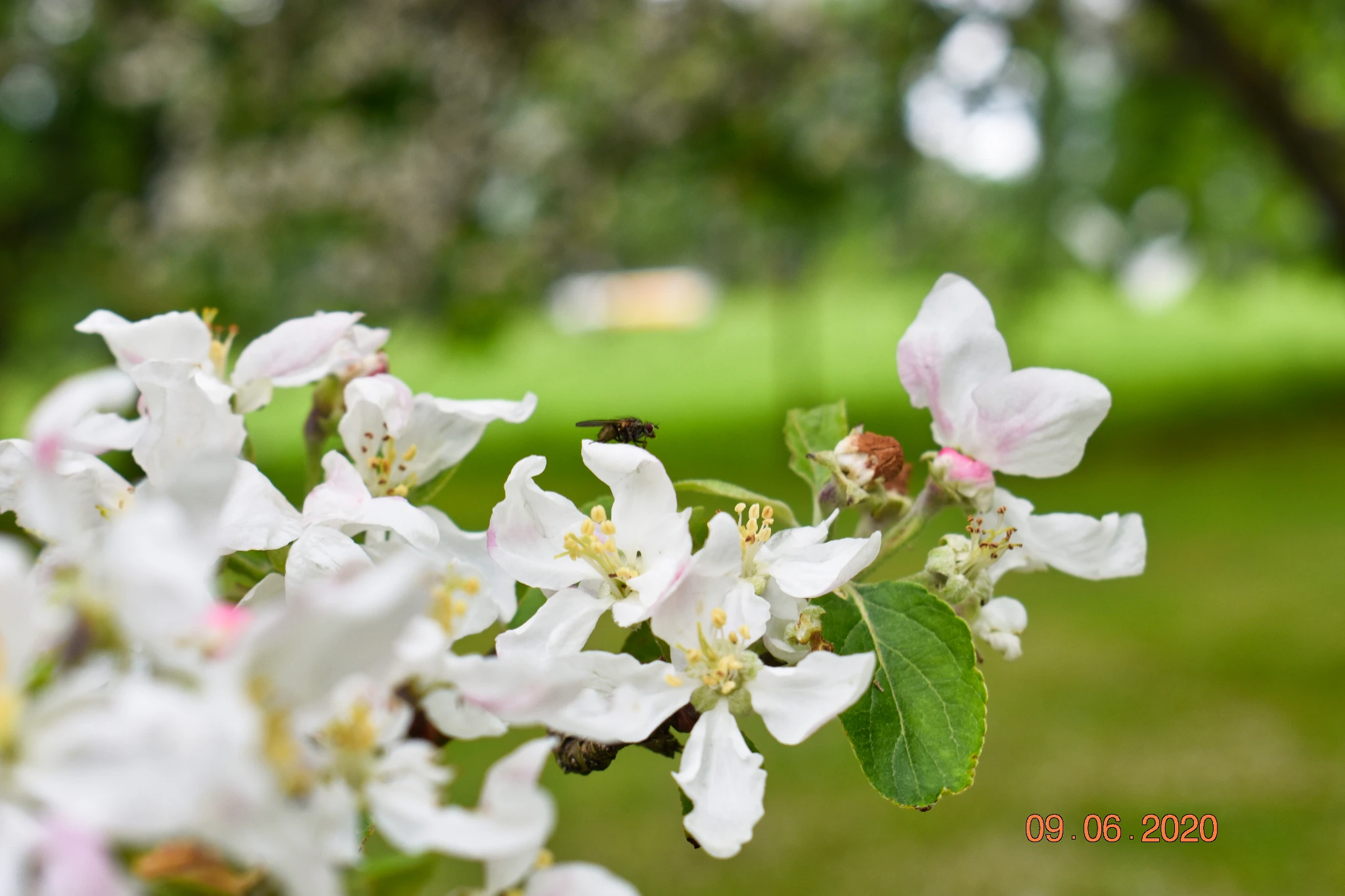 Header image