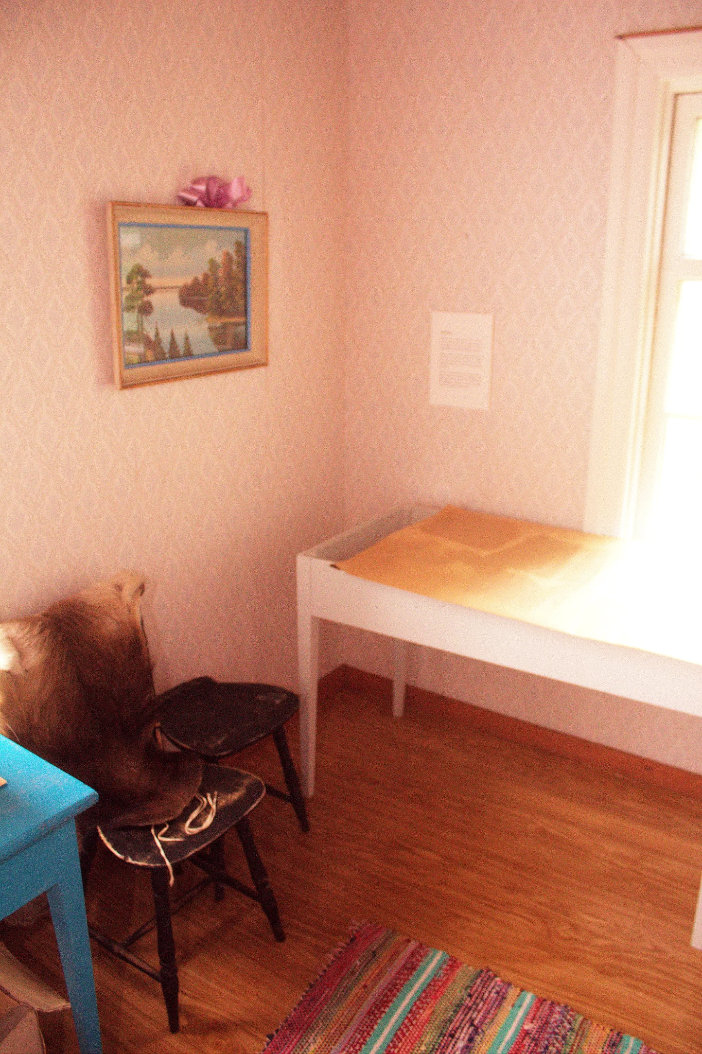 Header image