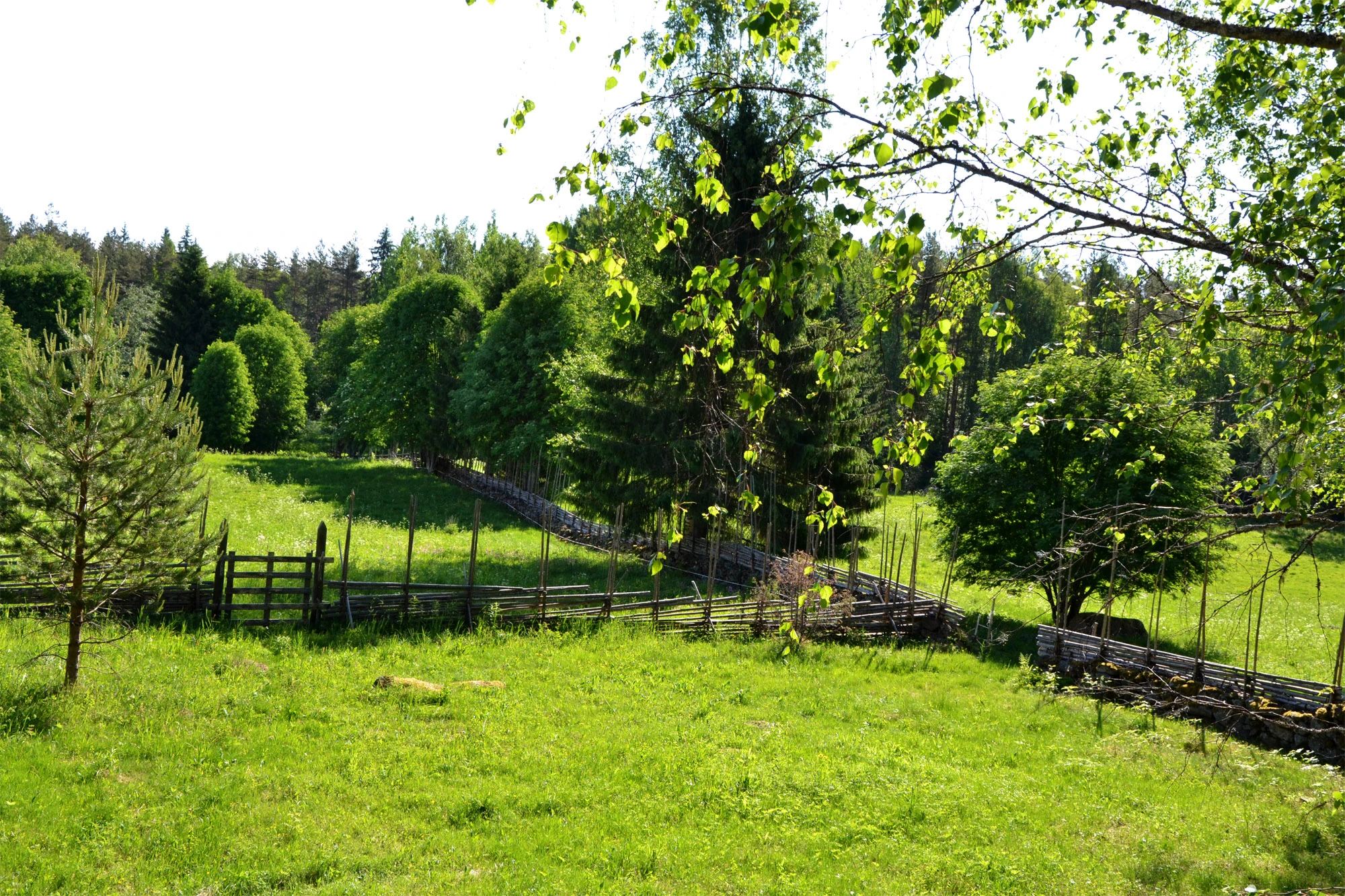 Header image