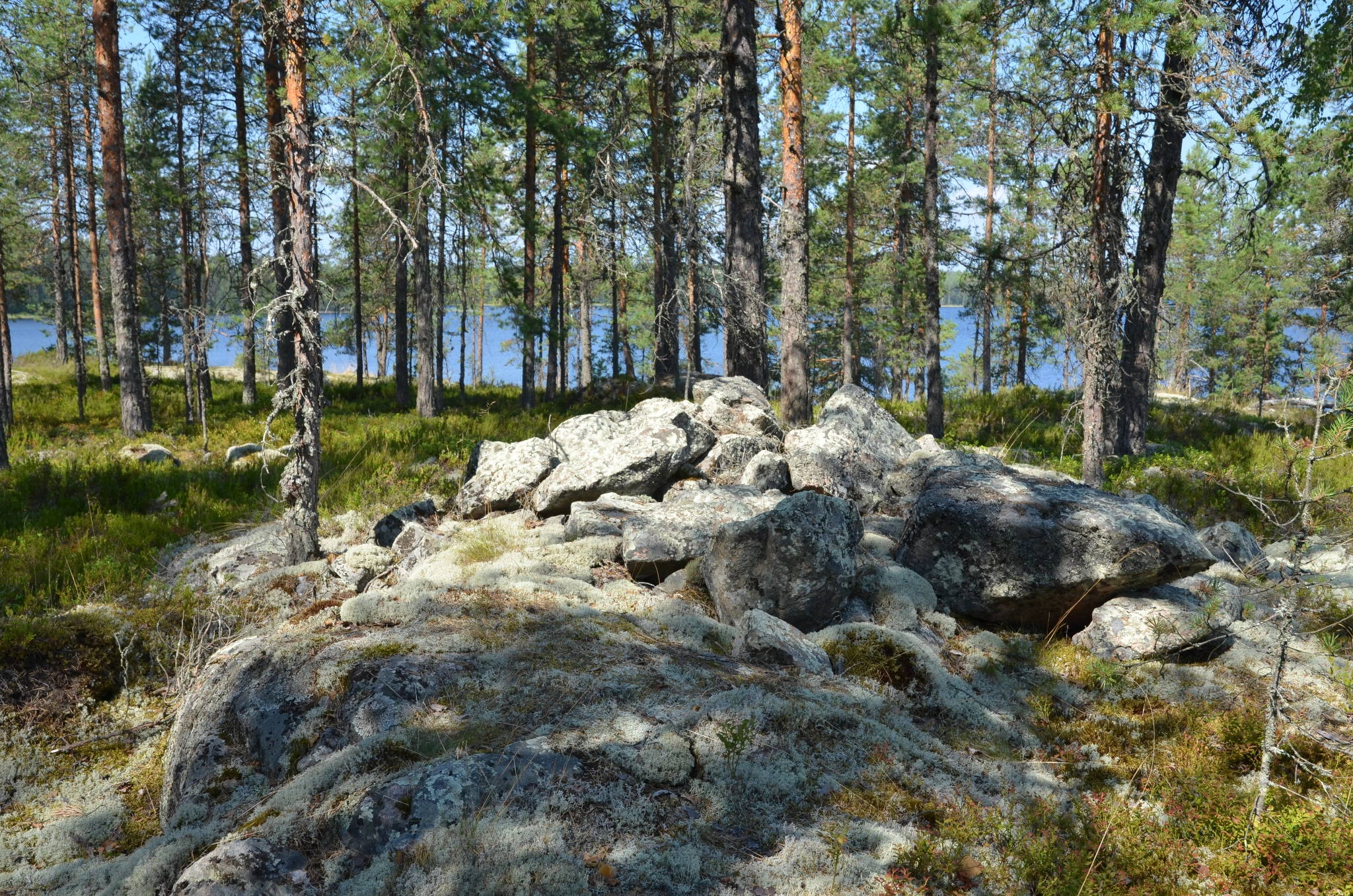 Header image