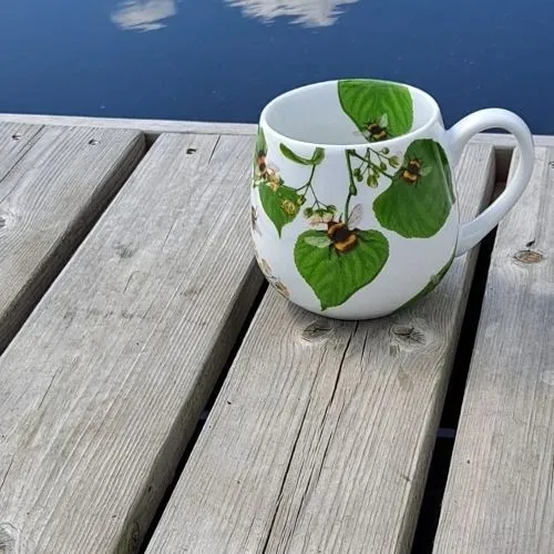 Header image