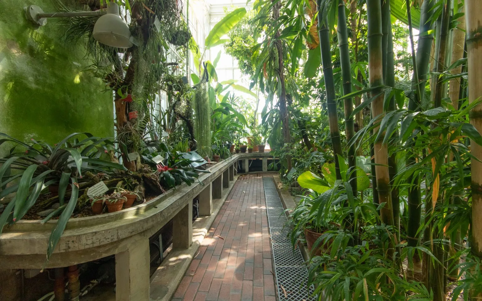 Header image
