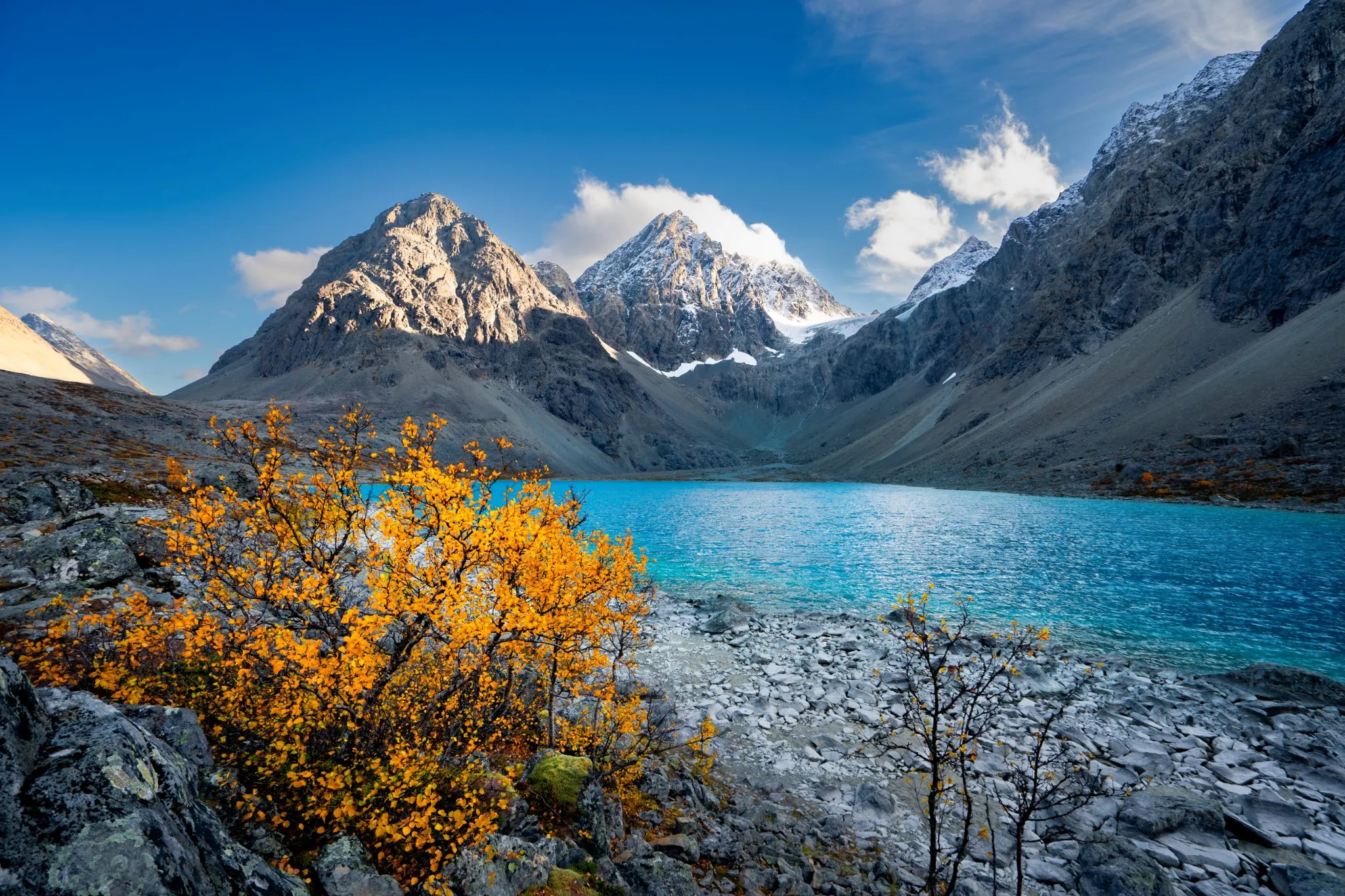 Image for action card