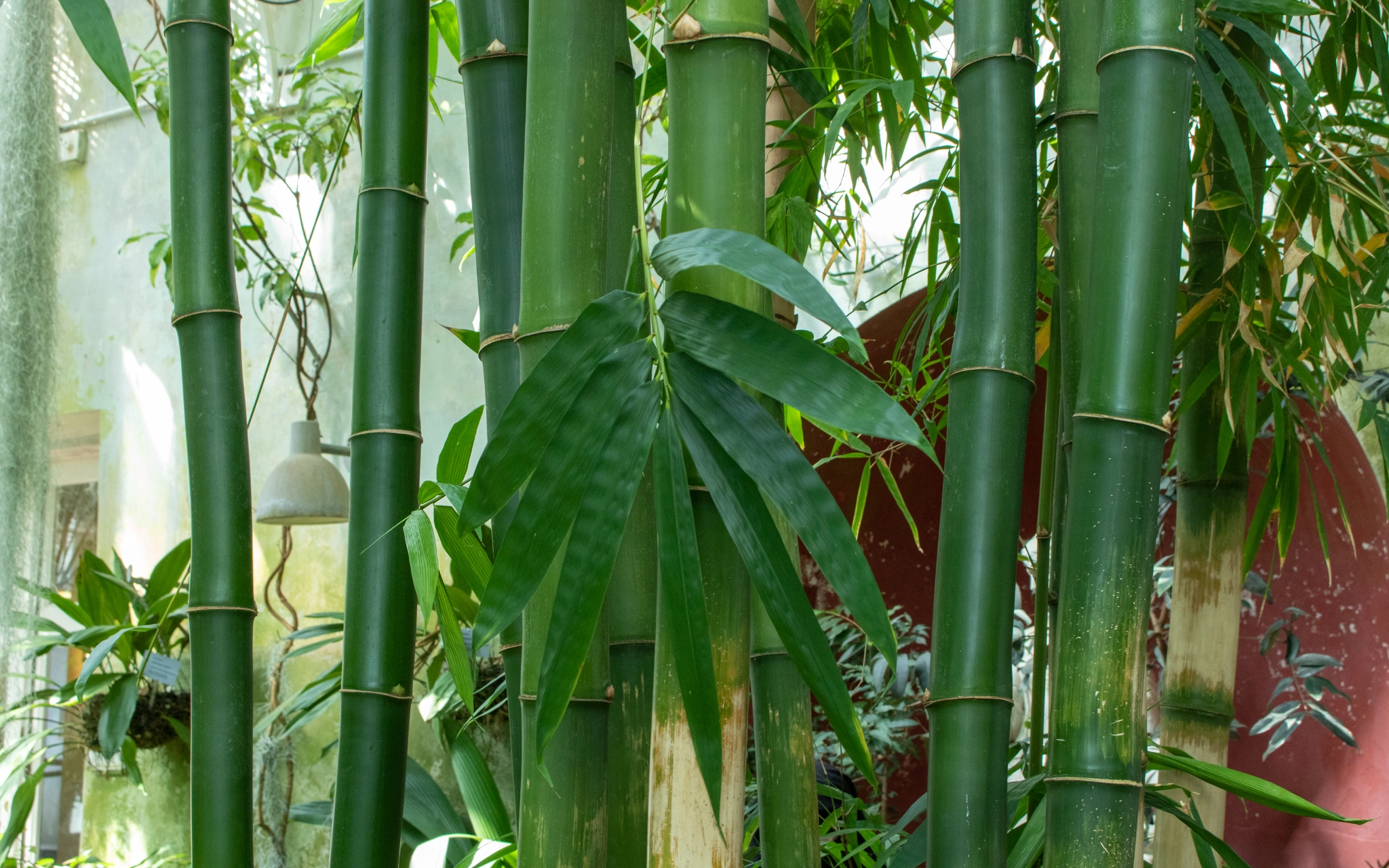 Header image