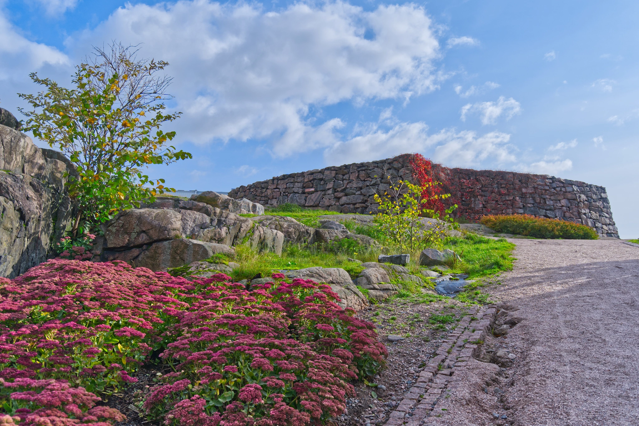 Link card background image