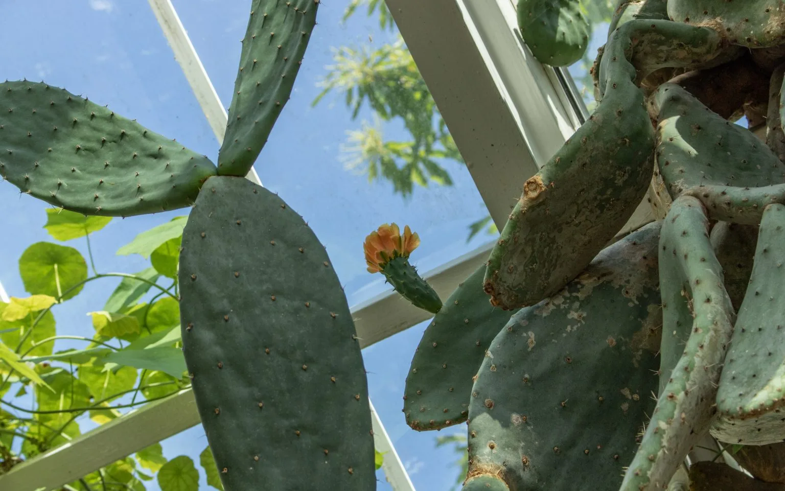 Header image