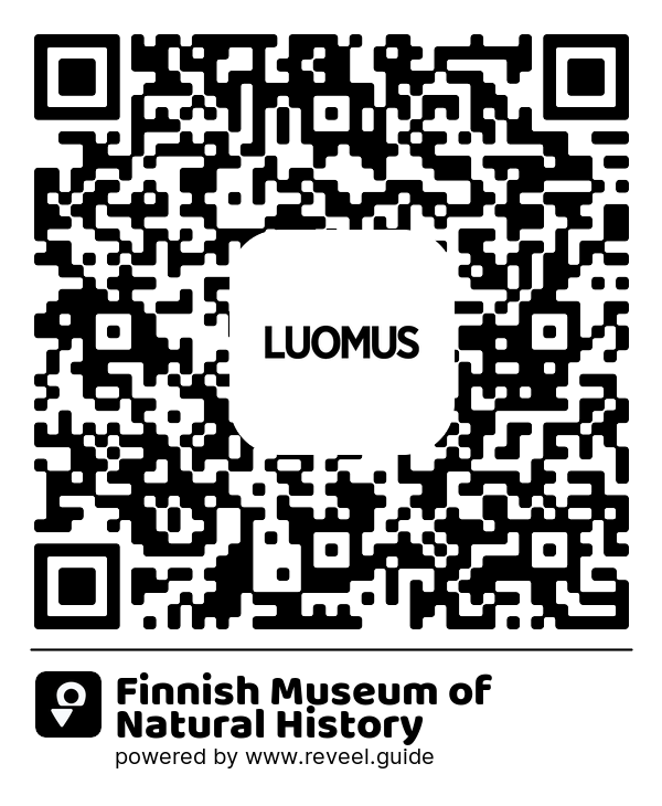 Image of the QR linking to the Finnish Museum of Natural History